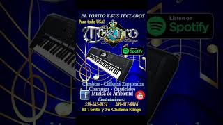 El Torito y Sus Teclados - El Torito Mixteco