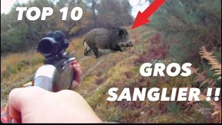 TOP 10 : GROS SANGLIERS 2021 BEST OF !!!