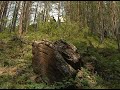 Тунгусский метеорит. Место падения метеорита. Столетие тунгусского метеорита. Съемки 2008 года.