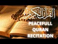 Quran Surah Al Isra Peacefull Recitation 