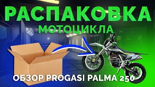 СБОРКА И ОБЗОР МОТОЦИКЛА PROGASI PALMA 250