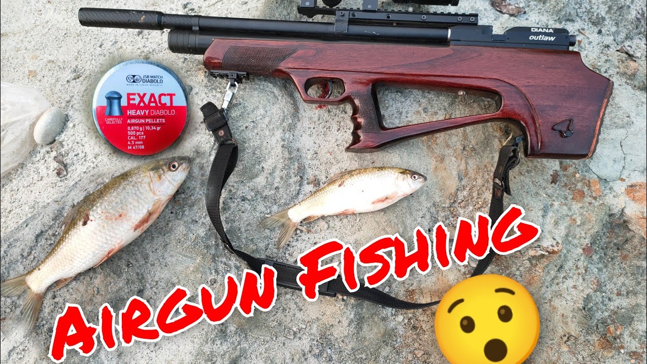 Airgun FishingAirgun Huntingwith Diana outlaw.177 YouTube