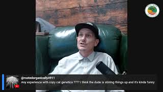 live Q&A