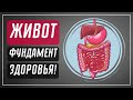 Основа любого здоровья | Дмитрий Лапшинов