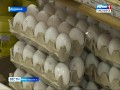 Стоимость продуктов в Дудинке выше, чем в Норильске