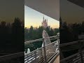 Daily Dose Of Serotonin Disney Disneyparks Shorts Fy Happy Sunset Vibe Sunset Trending Daily Dose Of Serotonin Disney Disneyparks Shorts Fy Happy Sunset Vibe Sunset Trending