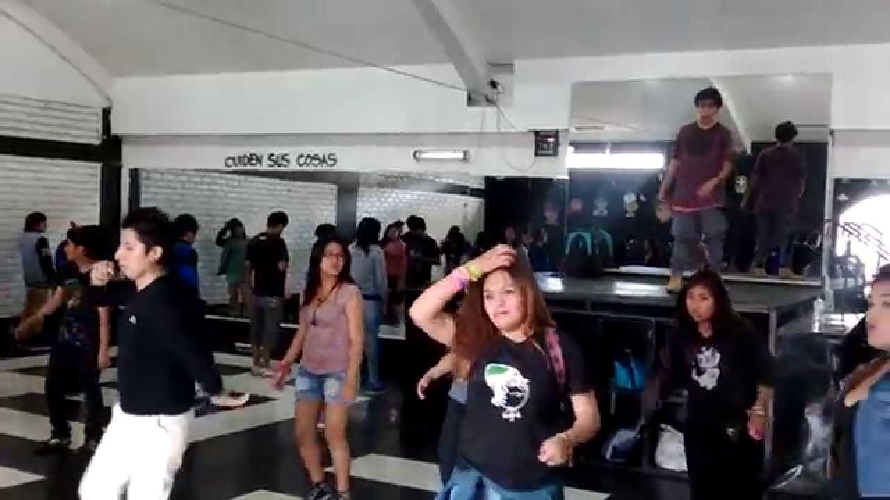 strong gym Aqp 2014 - Alingo