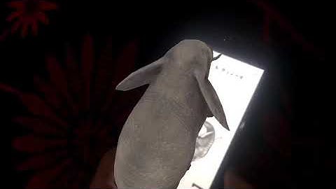 Hướng dẫn sử dụng Animal 4D+