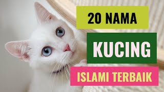 20 Nama kucing yang bagus dalam Islam lengkap dengan artinya