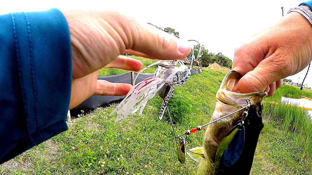 Spring Spinnerbait Weather for Florida Bass (Cloudy, Wind, and Rain) Plus an Update on My Life