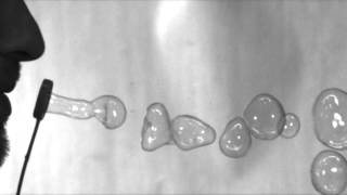 Soap bubbles in slow motion
