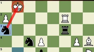 Magnus brilliant two horse and rook checkmate vs pragnanandhaa