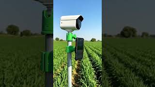 corn field protection hack #shorts #shortsfeed #funny #viral #technology #shortsviral
