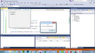 053 - M - C# RadioButton FontChanged Event Handler