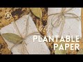 Making recycled seed paper at home