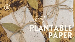 How to Make Plantable Seed Paper - Blog