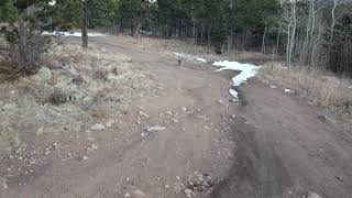 Coyote Encounter with my DJI Mavic Mini in Colorado! by OffGrid Exploring 218 views 3 years ago 2 minutes, 43 seconds