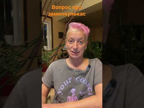 Замиокулькас и солнце: вредно или нет?