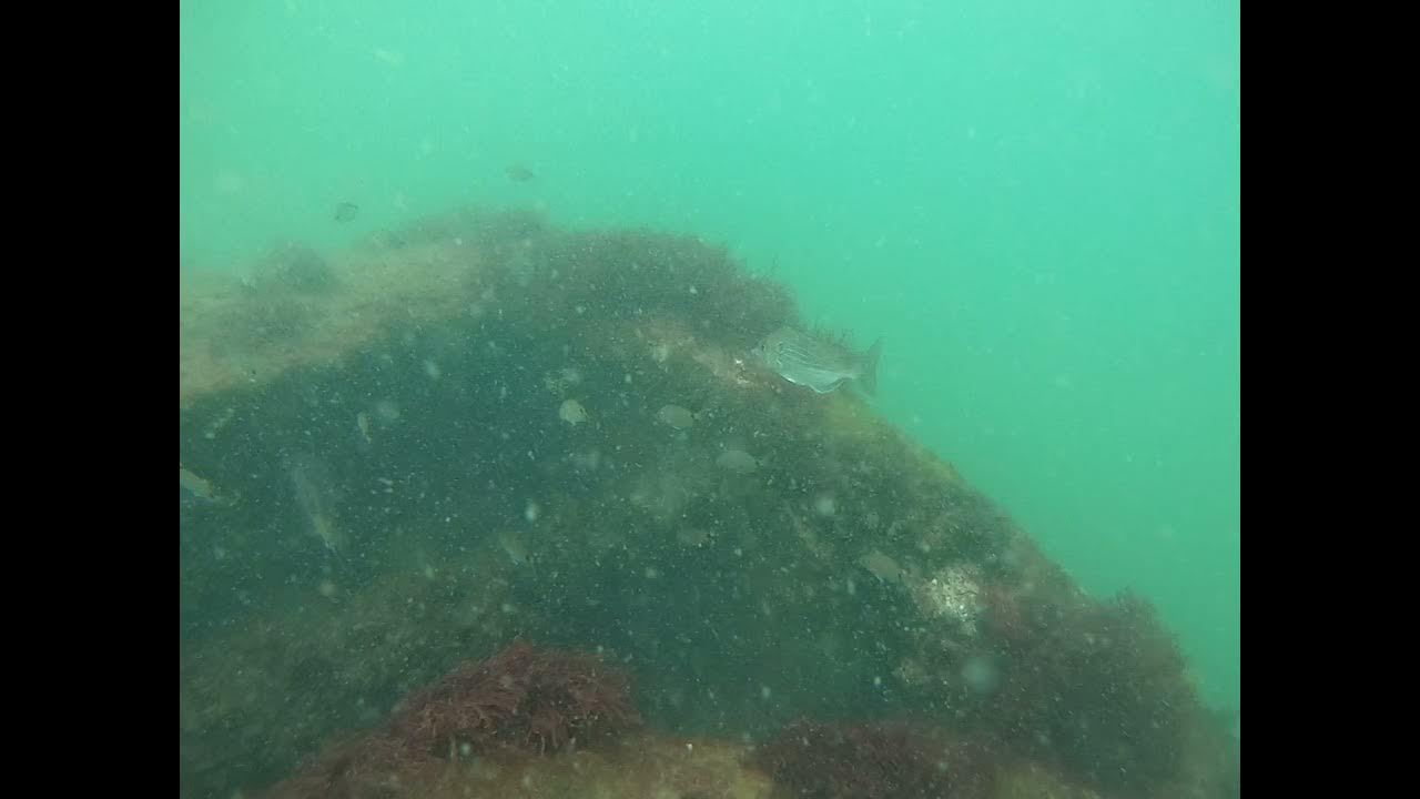 Outer Banks (triangle wreck) 2021 2 YouTube