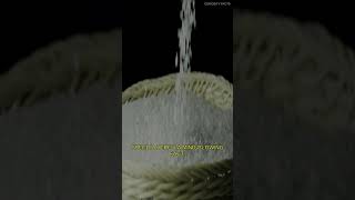 This Chip Is SMALLER Than Rice &amp; It's Breaking Science! #Shorts