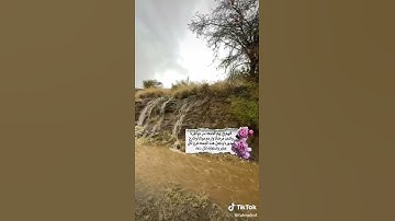 عندما تبحث عن النور في زمن الظلمة، أدعوك لقراءة سورة الكهف يوم الجمعة.🌾🌿