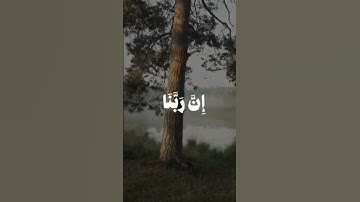 القارئ عمر بن ضياء(سورة فاطر اية34)