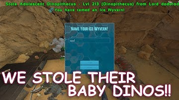 We Raided Them Then Stole Their Babies! | Ark Official Small Tribes PVP Lost Island E5