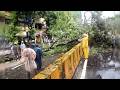 Mumbai hit by red-alert monsoon as rains disrupt travel and schools #Shorts