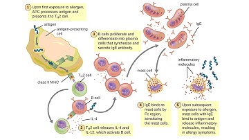 Chapter 19 OpenStax Microbiology