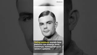 Patterns in Nature Explained by Math!🐆 Alan Turing, Turing Patterns #shorts #maths #biology
