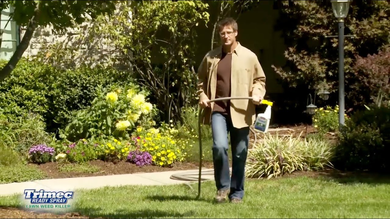 Trimec Ready Spray demonstration video