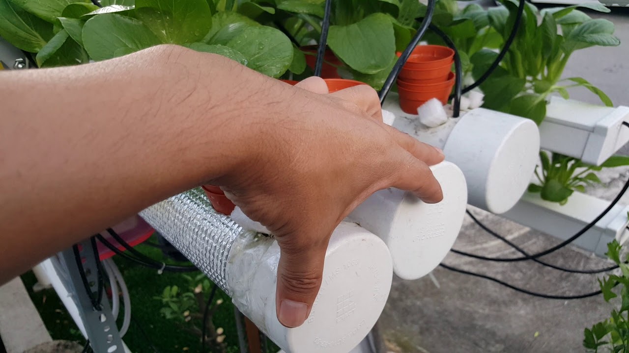 水耕栽培hydroponic 免費種植管 有誰要嗎 種植管找新主人 Youtube