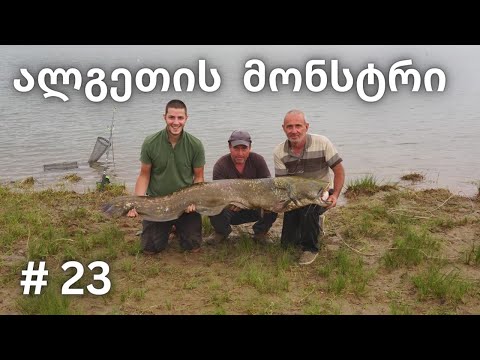 2 მეტრიანი ლოქო , ალგეთზე თევზაობა