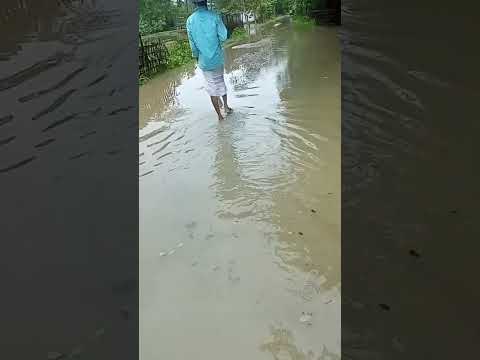 Flood Affected Area Reels Shorts Youtubeshorts