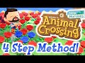 BLUE ROSE - In 4 EASY Steps (Asteriation Method) - ACNH [TUTORIAL]