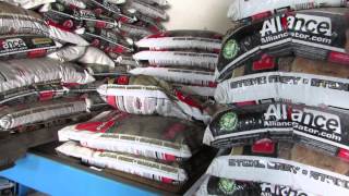 polymeric sand lowes