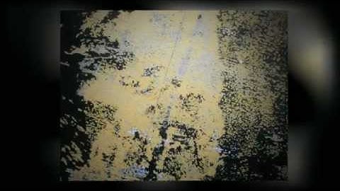 LIGHT (DE)SIGNS (OF HOLLAND)