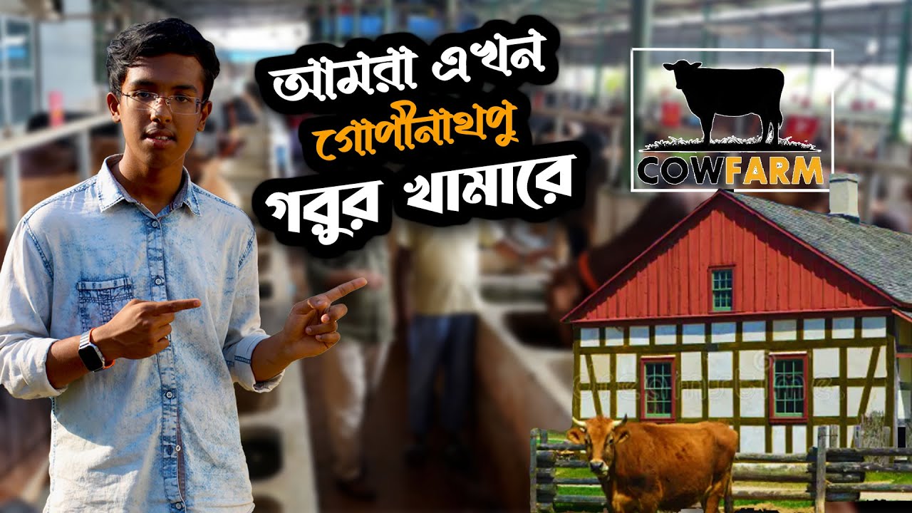 আমরা এখন  গোপীনাথপুর গরুর খামারে | ( Cow fram ) | ARH Vlogs