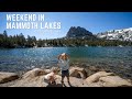 A Weekend in Mammoth Lakes with Toddlers: Hiking, Restaurants and Exploring the Village