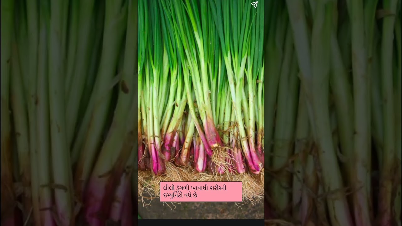 Benefits of Eating Green Onions 