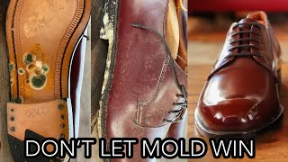 MOLD TO MAGNIFICENT! HOW TO REMOVE MOLD AND MILDEW FROM A PAIR OF VINTAGE DRESS SHOES