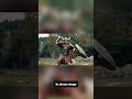 “Viking vs Native Warrior: Who Would REALLY Survive?”