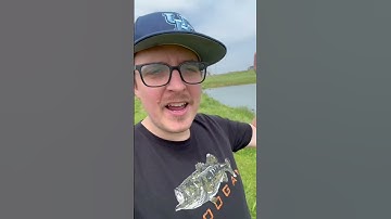 This Pond is Infested With Huge Snapping Turtles! #turtle #trapping #snappingturtle #ponds