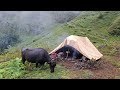 Rainy Day Village Life ll Simple Nepali Village Cooking food || Nepali Village Life Iam Dharme🇳🇵