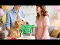 🐢 Toughest Turtle Ever? Interactive Rope & Squeaky Dog Toy for Heavy Chewers!