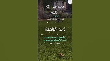 "تدبر آيات الله حياة للقلوب، فافتح قلبك للقرآن ينير دربك." #المصحف #تلاوة #اكسبلور 🌹❤️