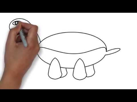 Drawing for Kids | Turtle | whiteboard animation