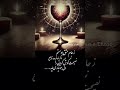 مستی از جام عشق آنگاه که نصیحت سودی ندارد و دل هوشیار می طلبد 