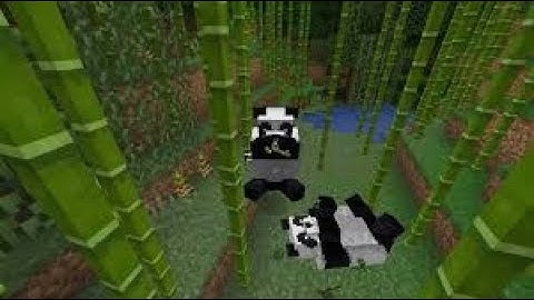 MINECRAFT BEDROCK BETA 1.8.0.8 PANDAS,CATS,SCAFFOLDING, AND MORE