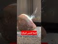 تجارب علميه ثلاثه تركيز اشعه الشمس على قطعه من الصخر انظر ماذا يحدث
